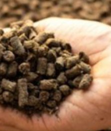 Fertilizer, in the hand